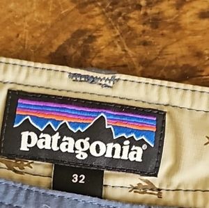 Patagonia Men's Shorts